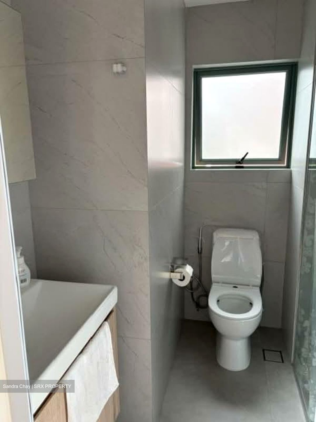 Chantilly Rise (D23), Condominium #566459611